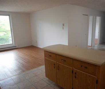 2020-307 Rue Gauthier, Sherbrooke, QC J1H 6A5 (Vacant) - Photo 2