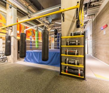 Studio to rent - Photo 6