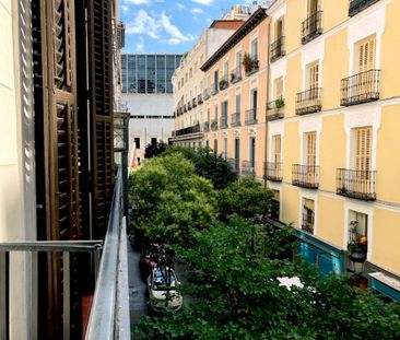 Cozy room in Santa Catalina street - Photo 4
