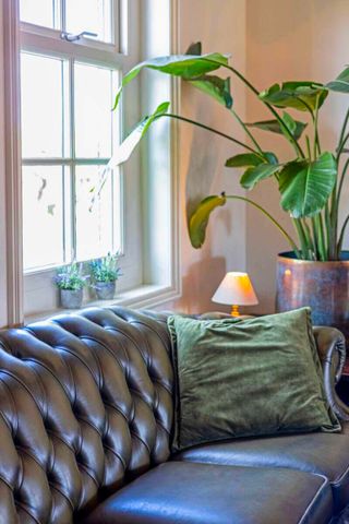 Noordersingel, Berkel en Rodenrijs, Nederland - Photo 3