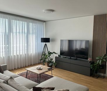 3-ROOM APARTMENT IN CHAM (ZG), FURNISHED, TEMPORARY - Photo 2