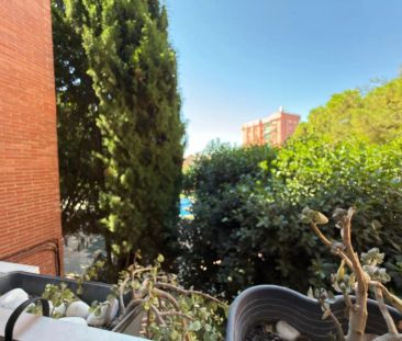 Alicante / Alacant - Foto 5