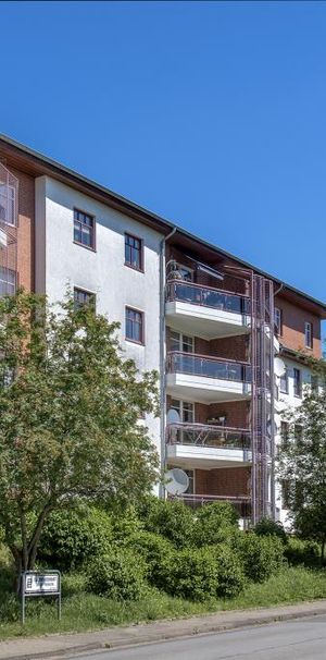 Demnächst frei! 2-Zimmer-Wohnung in Hameln - Photo 2