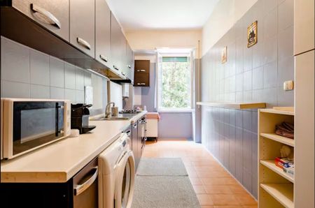 Piazza Irnerio, Rome, Lazio 00165 - Photo 5