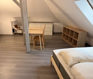 Appartement 1 pièce à Strasbourg - Photo 5