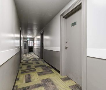 Renovated Suite - 1 Bedroom - Photo 1