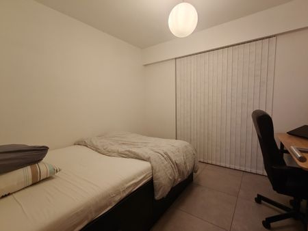 Gelijkvloers appartement te huur in Lokeren - Foto 3