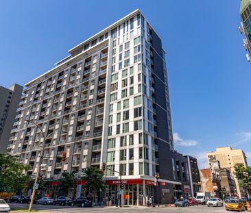 Appartement à louer - Montréal (Ville-Marie) (Centre) - Photo 3