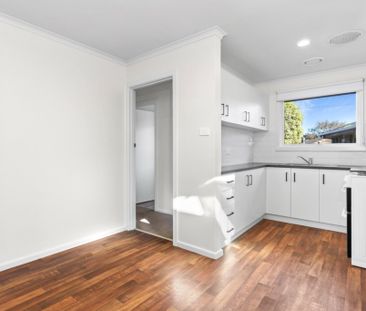 Beautifully Renovated 2-Bedroom Unit - Photo 1