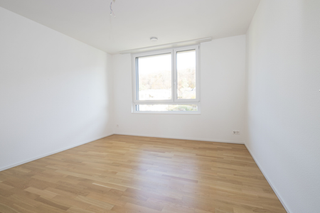 grosszügige Wohnung Minergie P-Standard - Foto 4