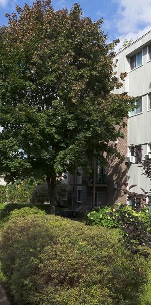 4 1/2 Vanier -ascenseur- proche des commodités- 1er décembre - Photo 1