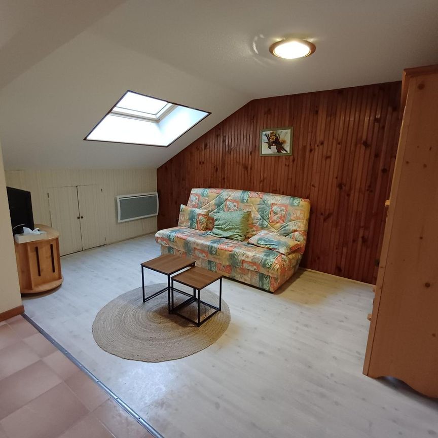 Location Appartement 2 pièces 43m² MILLAU 12100 - Photo 1