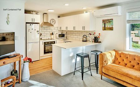 Charming Sunny Unit in Island Bay - Photo 4