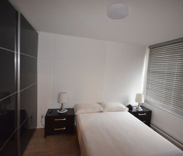 Appartement à Montréal (Mercier/Hochelaga-Maisonneuve) - Photo 2