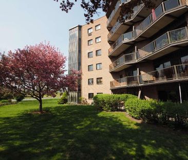 Grand appartement 3 et 1/2 (condo) à louer au coeur du Vieux-Longue... - Photo 1