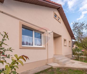 Casă renovată 2025 - Jucu de Mijloc - Liniște si confo... - Fotografie 3