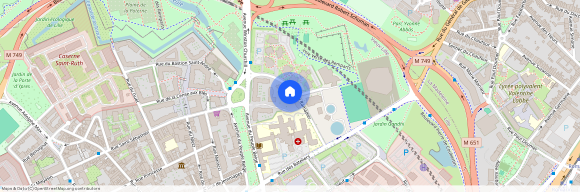 15 Rue Paul Ramadier, 59800, Lille