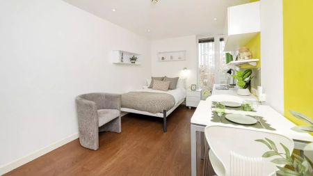 Standard Studio Bronze - Photo 4