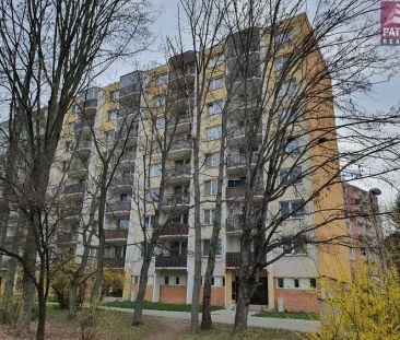 Pronájem bytu 3+1 v Olomouci, I.P.Pavlova - Fotografie 3