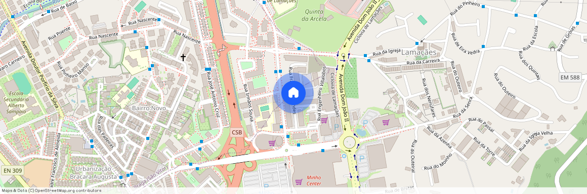 Francisco Mendes, Braga