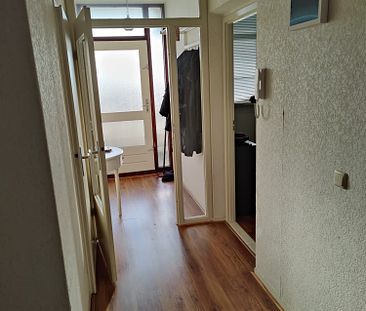 2 room apartment to share with one person - Foto 2