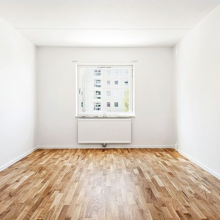 Lejonets Gata 351, Brandbergen - Photo 3