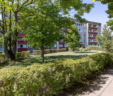Altersfreundlich mit Aufzug: 1-Zimmer-Wohnung mit Balkon - Photo 3