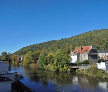 Location Appartement 2 pièces 55 m2 à Raon-l'Étape - Photo 1