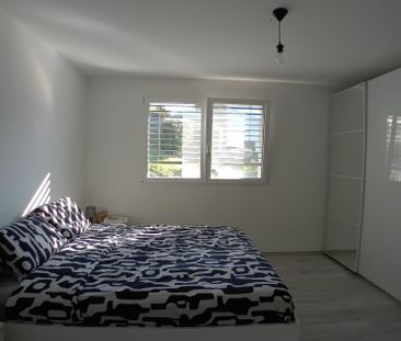 5.5 Zimmer, 252 m² - Photo 4