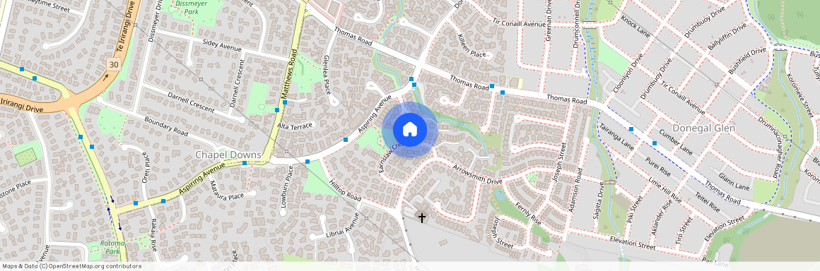 32 Earnslaw Crescent, Clover Park, Manukau City