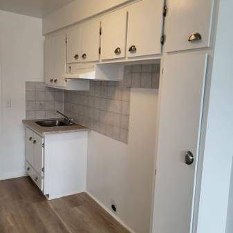 29e ave. Rosemont 3 1/2 a louer libres de suite. - Photo 3