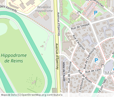 AVENUE D'EPERNAY, Reims - Photo 1