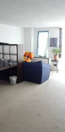 Fully furnished 1-bedroom condo $1460/mois - Photo 1