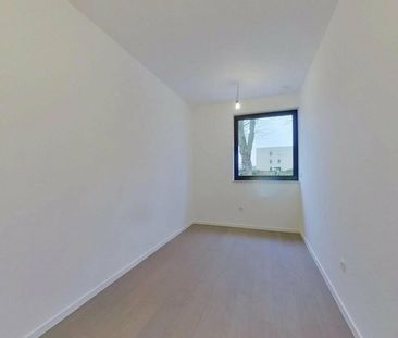 Flat for rent - Photo 6