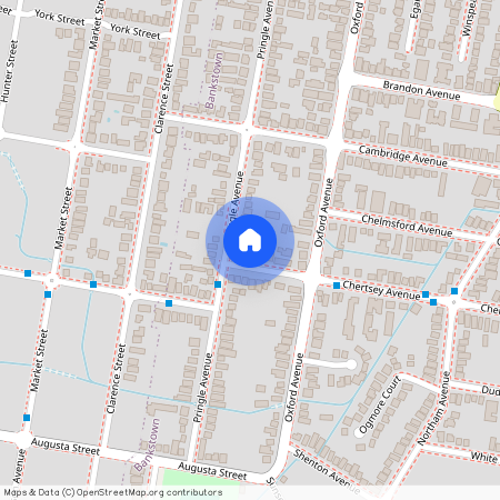 53 Chertsey Avenue, NSW 2200, Bankstown