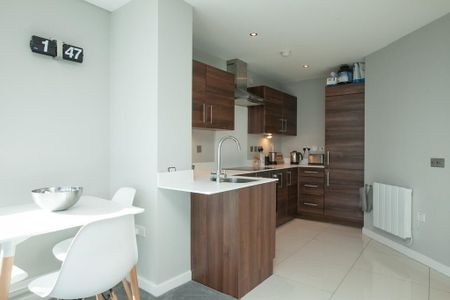 19-05 The Obel, 62 Donegall Quay, BT1, Belfast - Photo 5