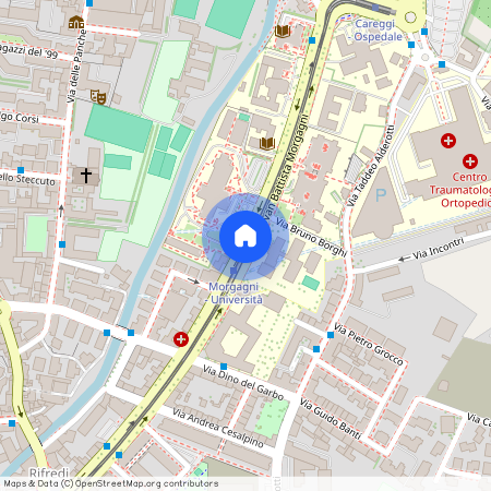 Viale Giovan Battista Morgagni, Firenze