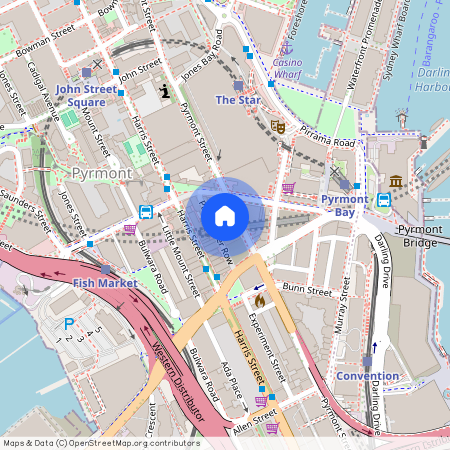 113 Pyrmont Street, Pyrmont 2009, New South Wales