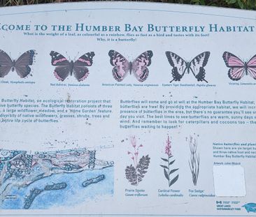 For Lease - 38 Annie Craig Drive Unit# 509, Toronto, Ontario - Photo 1