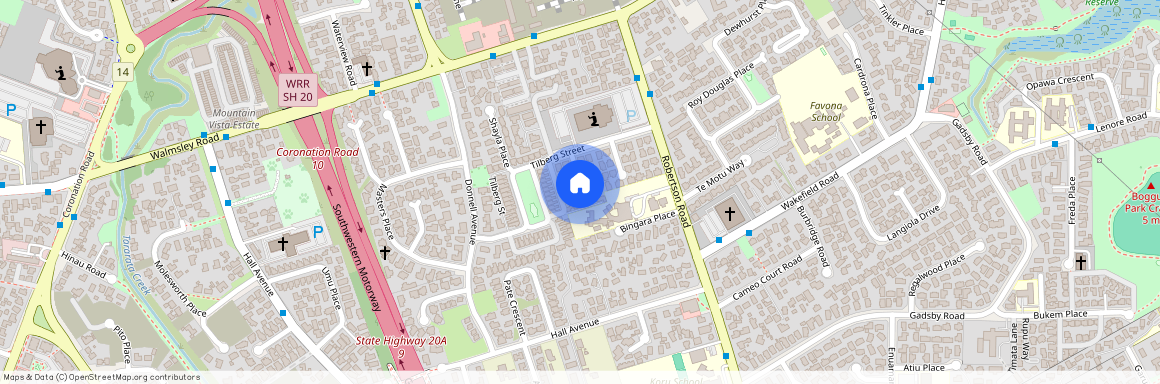 15 Morewood Lane, Favona, Manukau City