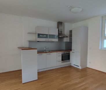 SQUADRO- mitten im Grünen, mitten in der Stadt - Foto 2