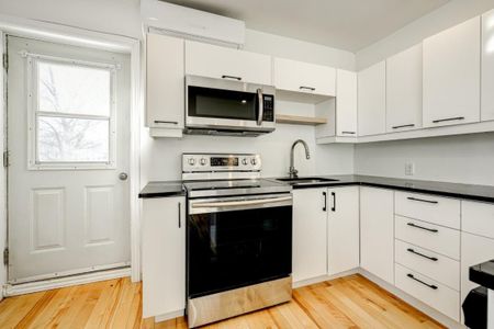 4052 Av. du Parc-La Fontaine, app.3, H2L 3M8, H2L 3M8, Montréal - Photo 5