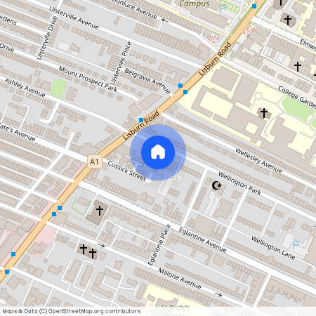 Apt 2, 60 Wellington Park, Belfast, BT9 6DP