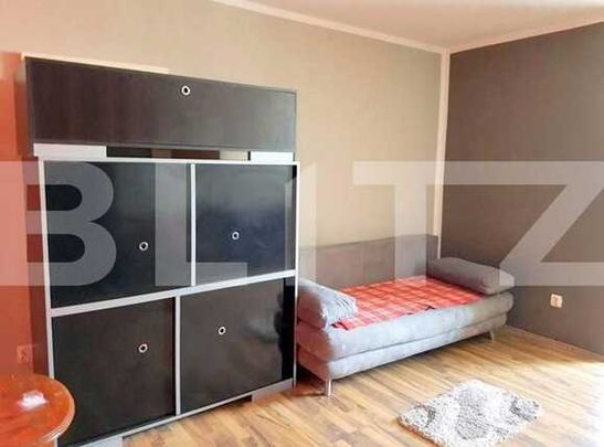 1 camera, 30 mp, mobilat modern, zona strazii Bucegi - Fotografie 1