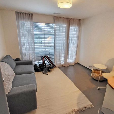 4.5 Zimmer Wohnung - Foto 1