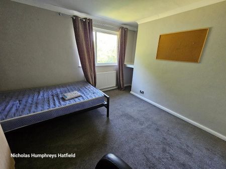 4 bedroom terraced house to rent - Photo 5