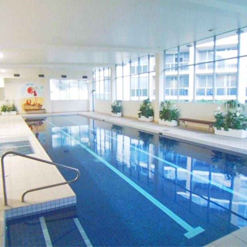 204/806 Bourke Street, Waterloo NSW 2017 - Apartment For Rent | Domain - Photo 1