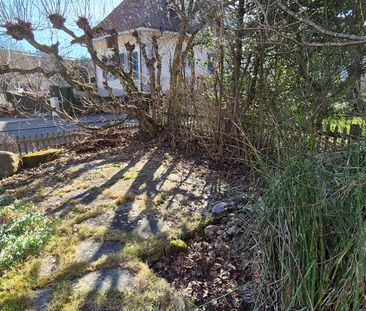 1 Zimmer, 17 m², EG - Photo 5