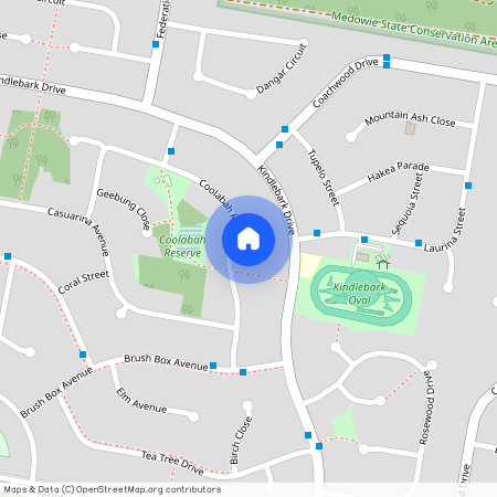 21 Coolabah Road, Medowie NSW 2318