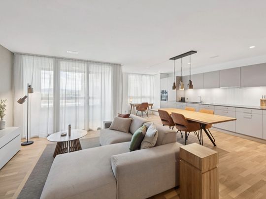 Furnished apartments with Madrid charm in the largest shopping center in Switzerland - Photo 1